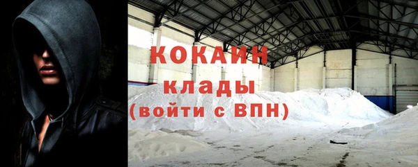 гидра Дмитров