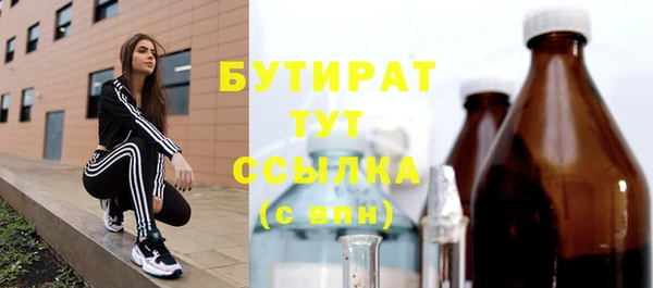 гашик Алексин