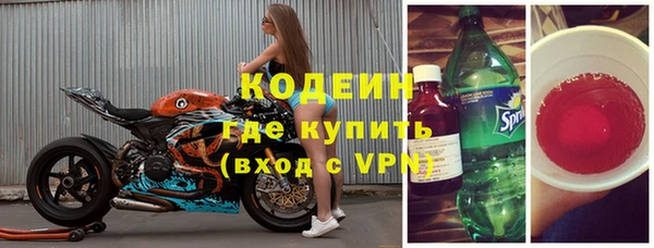 гашик Алексин