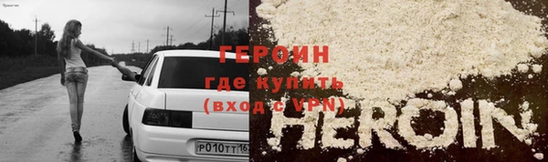 гашик Алексин